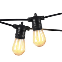  10M Festoon String Lights Christmas 10M 10 Meter