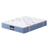 25cm Giselle Mattress Queen Bed Pocket Spring Mattresses