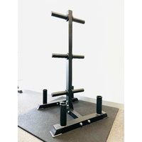 Curve Fitness Multipurpose Weight Storage Tree