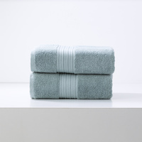 Brentwood 650 GSM Low Twist 2 Pack Gray Mist Bath Sheet by Renee Taylor