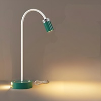 Rechargeable Motion Sensor Night Light – DIY Silicone Hose Lamp for Bedroom & Desk (Green) | Other Colors Available in Store