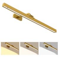 Picture Lights for Wall, Battery Operated Picture Light 16in Gallery Light for Paintings CCT Dimmable Gold