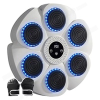 Bluetooth Boxing Machine Wall Mount White, Gloves Included,