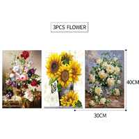 3PCS 5D Diamond Painting Kits Diamond Glue Art Kit Paint for Adults Kids DIY Gift 40x30cm