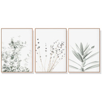 80cmx120cm Lavender Eucalyptus 3 Sets Wood Frame Canvas Wall Art 