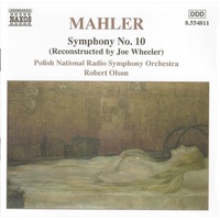 Mahler Symphony No 10 Whe - De Wit/ Polish National Rso Cd Album