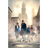 Fantastic Beasts - New York Street Poster