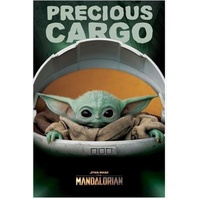 Star Wars: The Mandalorian - Precious Cargo