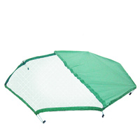 Green colour