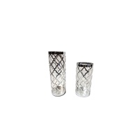 Ava Vase - Set of 2 - Silver