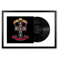 Framed Guns and Roses Appetite for Destruction Vinyl Album Art
