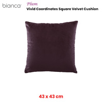 Bianca Vivid Coordinate Velvet Sage Square Cushion 43 x 43 cm