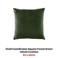 Vivid Coordinates Square Forest Green Velvet Cushion