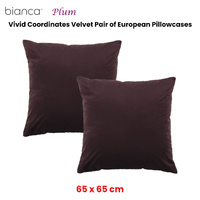 Bianca Pair of Vivid Coordinate Velvet Sage European Pillowcases 65 x 65 cm