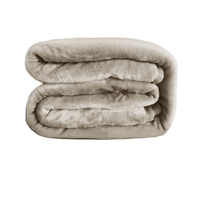 550GSM 2-Ply Mink Blanket Queen/King Aqua