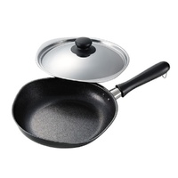 Japanese Cast Iron Frying Pan Skillet with Stainless Steel Lid - 22cm