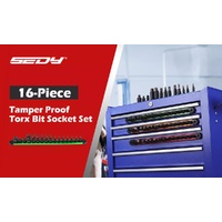 16-Piece Torx Star Bit Socket Set Magnetic Socket Rail Organizer T8-T60 Adapters
