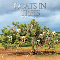 Goats in Trees - 2024 Square Wall Calendar Pets Animals 16 Month New YearPlanner