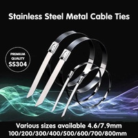 20X Stainless Steel Cable Ties S304 Marine Grade Zip Strap Locking Wrap 100-800Mm - 7.9*250mm