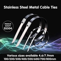 100x Stainless Steel Cable Ties SS304 Marine Grade Zip Strap Locking Wrap 100-800mm - 7.9*100mm