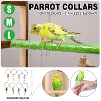Parrot Neck Collar Stainless Steel Bird Chain Training Adjustable Bird Leash - L-Diameter 2.2cm