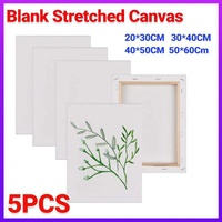 5x Artist Blank Stretched Canvas Canvases Art Large White Range Oil Acrylic Wood - 50*60CM