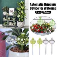 2PCS Automatic Glass Watering Cactus Plant Flower Self Drip Irrigation Tool - Transparent