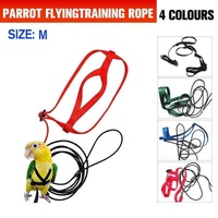 M Pet Parrot Bird Harness Lead Leash Flying Training Rope Cockatiel Outdoor - Blue