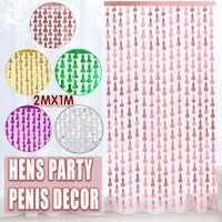 Metallic Tinsel Curtain 2m x 1m Hens Party Backdrop Foil Fringe Hanging Decor - Silver