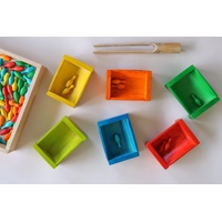 Coloured Bamboo Sorting Containers
