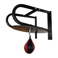 Speedball with Wall Frame Boxing Punching Bag