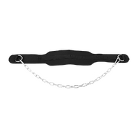Dipping Dip Weight Lifting Belt