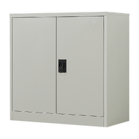 Two-Door Metal Short Cabinet Shelf Storage for Home Office Gym