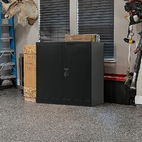 Two-Door Metal Short Cabinet Shelf Storage for Home Office Gym