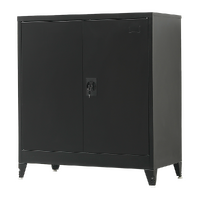 Two-Door Metal Short Cabinet Shelf Storage for Home Office Gym