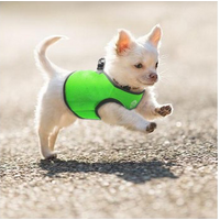 Vest Harness Pet Dog-Cat Step-in Velcro and Buckle Attachments - Moondidley Pets X-Small Black