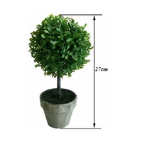 Artificial Boxwood in Pot 27cm