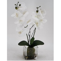 Artificial Orchid in Glass Pot 10x45cm