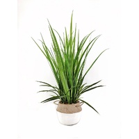 Artificial Grass in Cement Pot 76cm