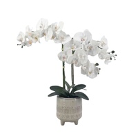 Artificial Orchid in Ceramic Pot 58cm