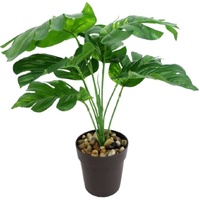 Set 2 Artificial Monsteria in Pot Assort 30cm