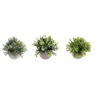Set 3 Artificial Plant in Cement Pot Assort 18cm
