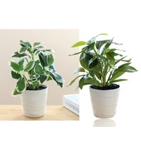 Set 2 Artificial Green Leaf in Pot Assort 28cm