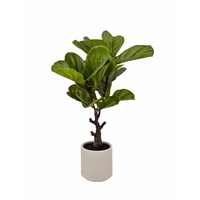 Artificial Real Touch Fiddleleaf Tree 75cm