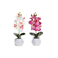 Set 2 Artificial Orchid in Ceramic Pot 10x21cm