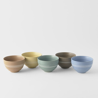 Bowl Set 5pcs 250ml Pastel Glazes