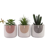 Set 3 Rainbow Ceramic Pot Planter 13cm