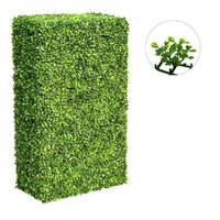 Large Portable Mixed Boxwood Hedge UV Resistant 100cm Long x 200cm High