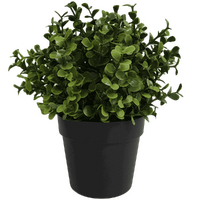 Small Potted Artificial Buxus Plant UV Resistant 20cm