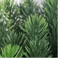 Premium Artificial 150cm Cypress Pine Tree UV Resistant